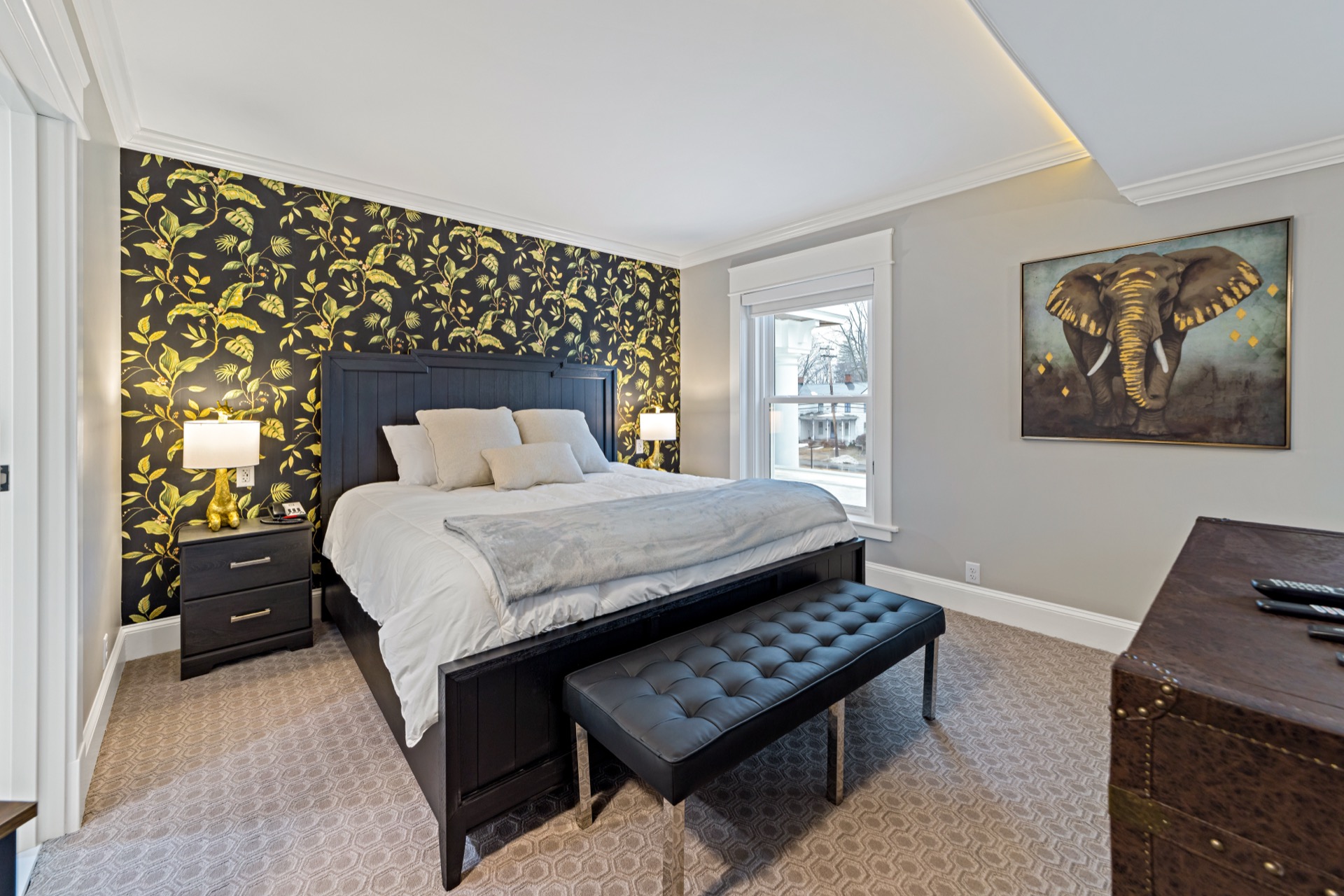 The Jungle Suite - Image 1